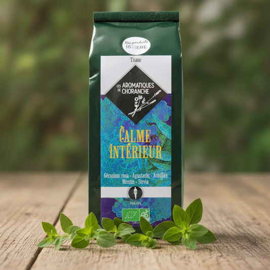 Calme Intérieur - Style référence