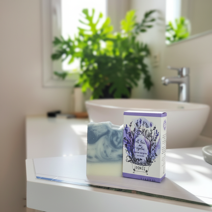 Le Bain des Cigales 4